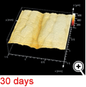 30 days